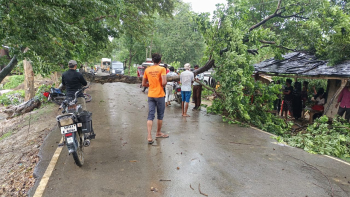 आंधी-पानी से पेड़ गिरा,तीन लोग बाल-बाल बचे