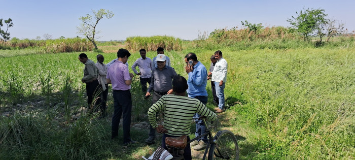 रौज़ागाँव चीनी मिल ने किया दिनांक 11 मार्च  2025 तक का गन्ना मूल्य भुगतान*